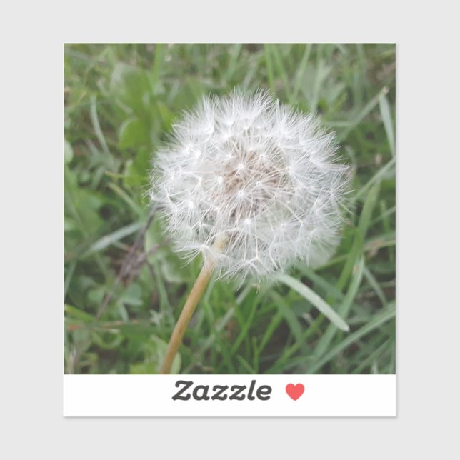 Sticker Faire un voeu (Feuille)