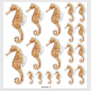 Sticker Famille Seahorse 18 Aquarelle Peint Transparent