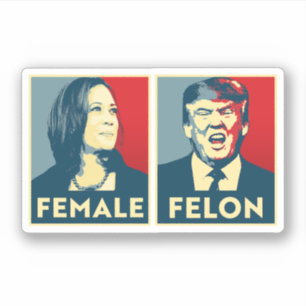 Sticker Femme contre Felon