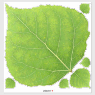 Sticker Feuille d'Aspen vert #11