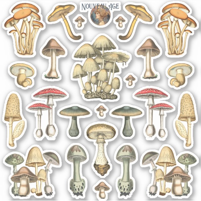 Sticker Feuille d'autocollants de champignons (Devant)