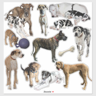 Sticker Feuille d'autocollants Great Danes