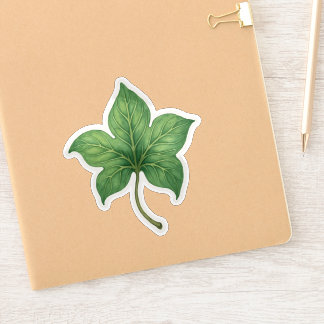 Sticker Feuille de lierre verte botanique