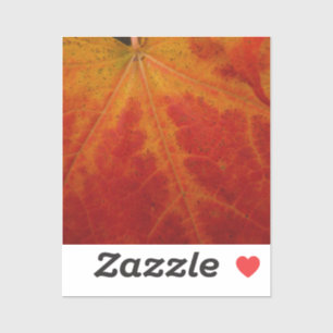 Sticker Feuille d'érable rouge Abstraite Automne Photograp