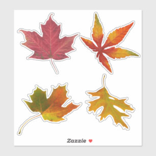 Sticker Feuilles d'automne assorties