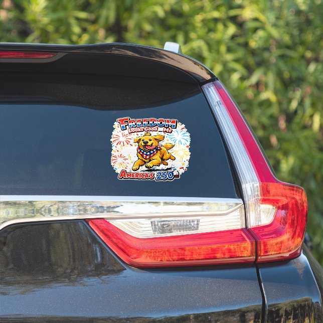 Sticker Feux d'artifice pour le 250e anniversaire du Golde (Côté voiture)