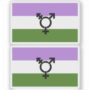 Sticker Fier d'être genderqueer - Fierté queer