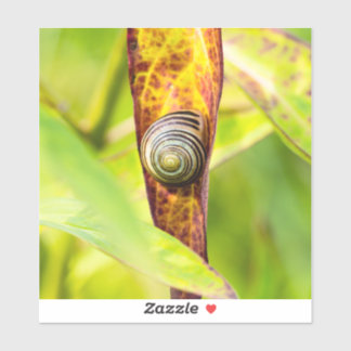 Sticker fixation calme