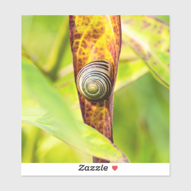 Sticker fixation calme (Feuille)