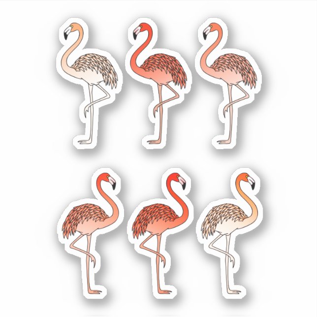 Sticker Flamants roses couleur corail (Devant)