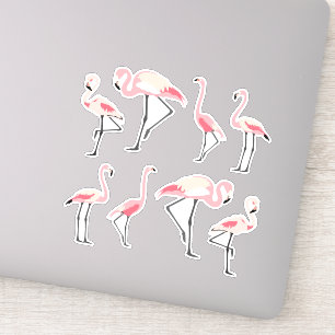 Sticker Flamants roses roses