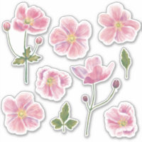 Fleur anémonée japonaise