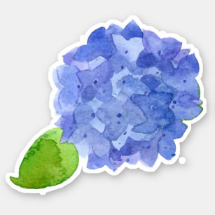 Sticker Fleur bleue d'aquarelle d'hortensia