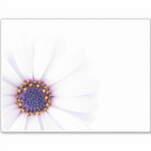 Sticker Fleur de marguerite blanche minimaliste sur Arrièr