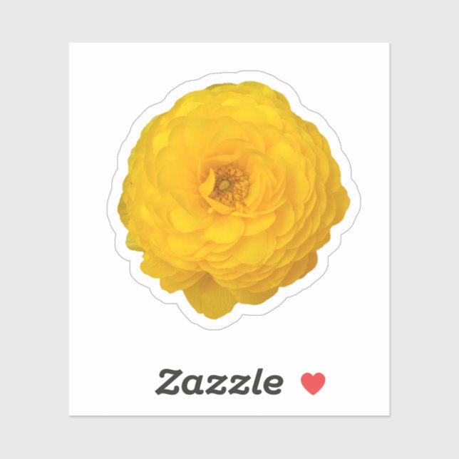 Sticker Fleur de marguerite transvale jaune (Feuille)