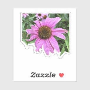 Sticker Fleur de marguerite violette rose confleur avec fe