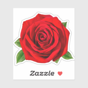 Sticker Fleur de rose rouge
