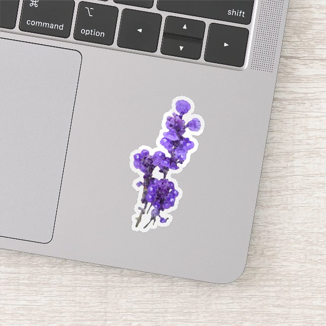 Sticker Fleur de Sauge à coupe farineuse violette (Détail)