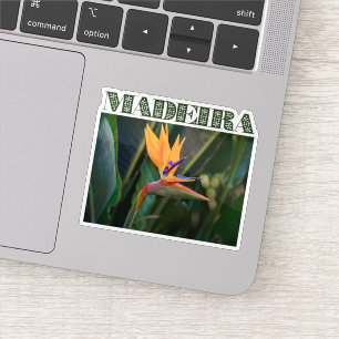 Sticker Fleur d'oiseau de paradis, voyage à Madère Portuga