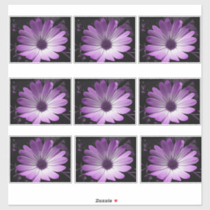 Sticker Fleur marguerite violette