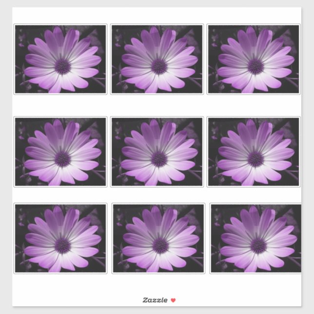 Sticker Fleur marguerite violette (Feuille)