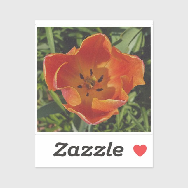 Sticker fleur printanière rouge (Feuille)