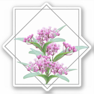 Sticker Fleur rose Asclepias Incarnata