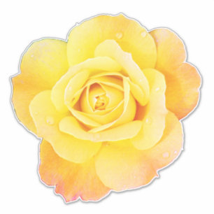 Sticker Fleur rose Floral Orange Jaune Printemps de Pâques
