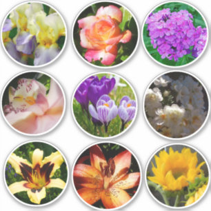 Sticker Fleurs