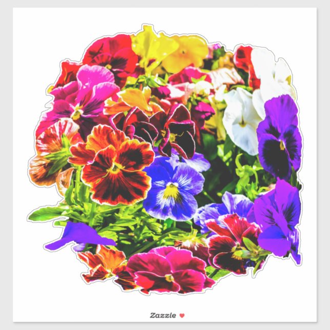 Sticker Fleurs colorées en Pansy (Feuille)
