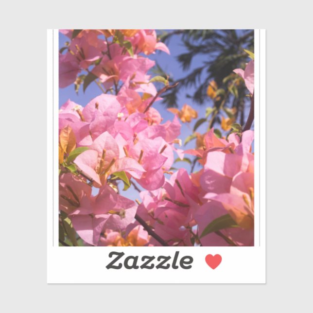 Sticker Fleurs de bougainvillée rose et orange mélangées (Feuille)