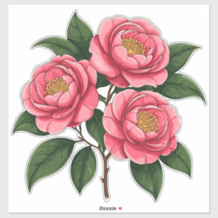 Sticker Fleurs de camélia roses en fleurs avec des feuille
