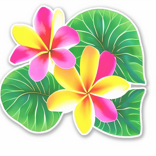 Sticker Fleurs de la Plumeria tropicale (Devant)