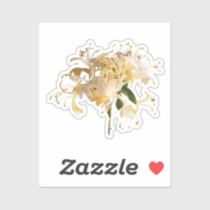 Sticker Fleurs de lait \ Juin Fleur de naissance
