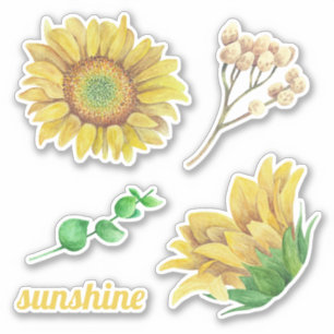 Sticker Fleurs de soleil aquarelle. Floral rustique