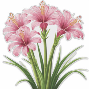 Sticker Fleurs roses vibrantes