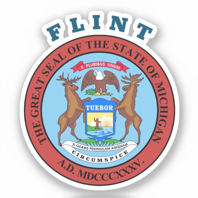 Sticker Flint - MICHIGAN (Recto)