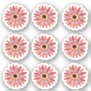 Sticker floral coloré Gerbera Daisy