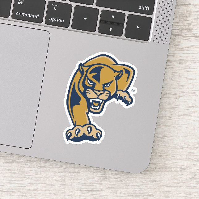 Sticker Florida International University Panthers (Détail)