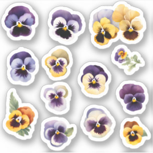 Sticker Flower Pansies en floraison