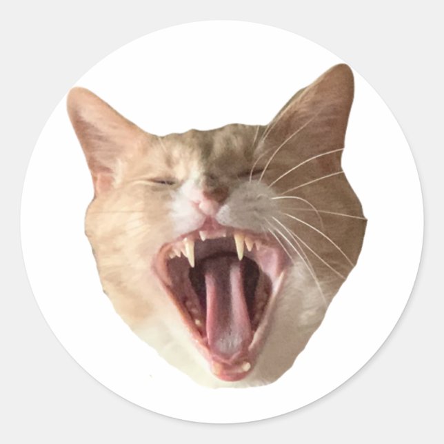 Sticker Floyd - Avec Bouche Ouverte! (Devant)