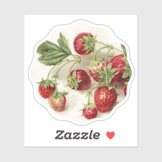 Sticker fraises rouges vintages