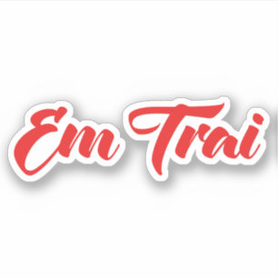 Sticker Frère Vietnamien (Jeune) - Em Trai ~ Tiêt Viêt