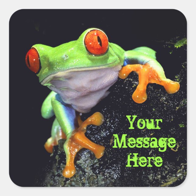 Sticker Frog 3 (Devant)