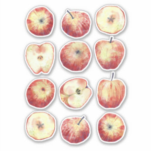 Sticker Fruit d'aquarelle de pomme