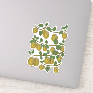 Sticker Fruit de kiwi