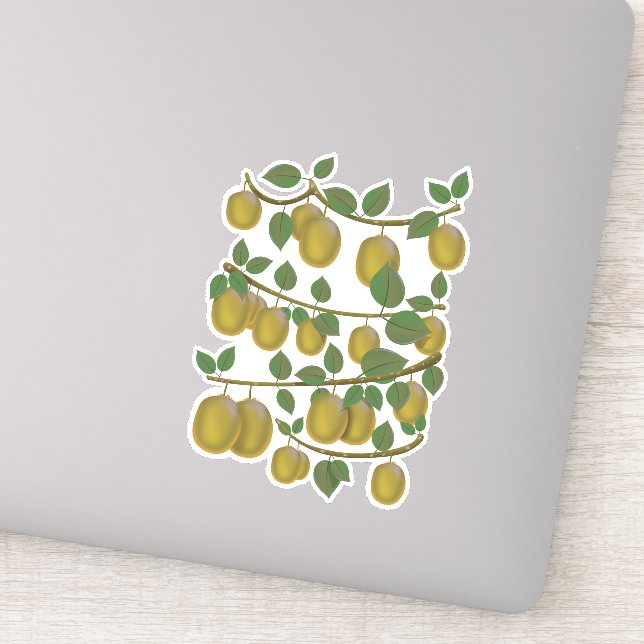 Sticker Fruit de kiwi (Détail)