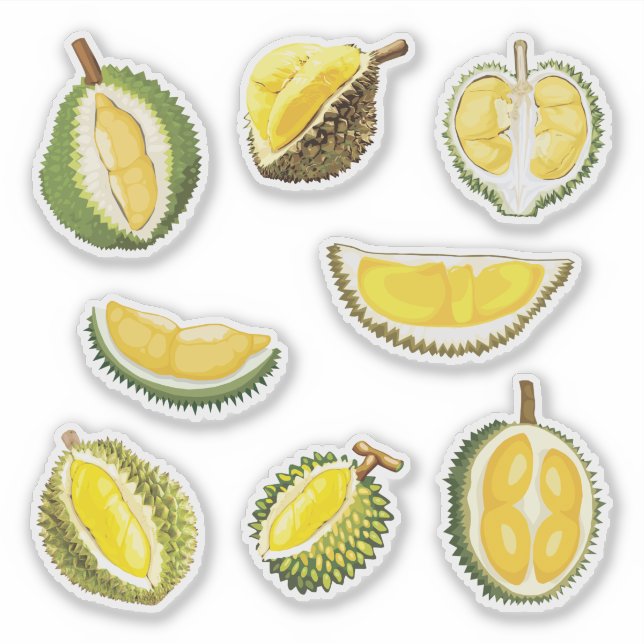 Sticker Fruit durian (Devant)