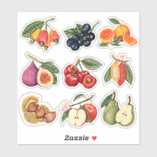 Sticker Fruits mignons