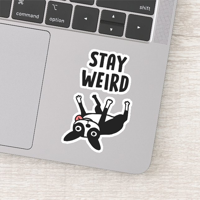 Sticker Funny Boston Terrier Stay Weird Dog (Détail)